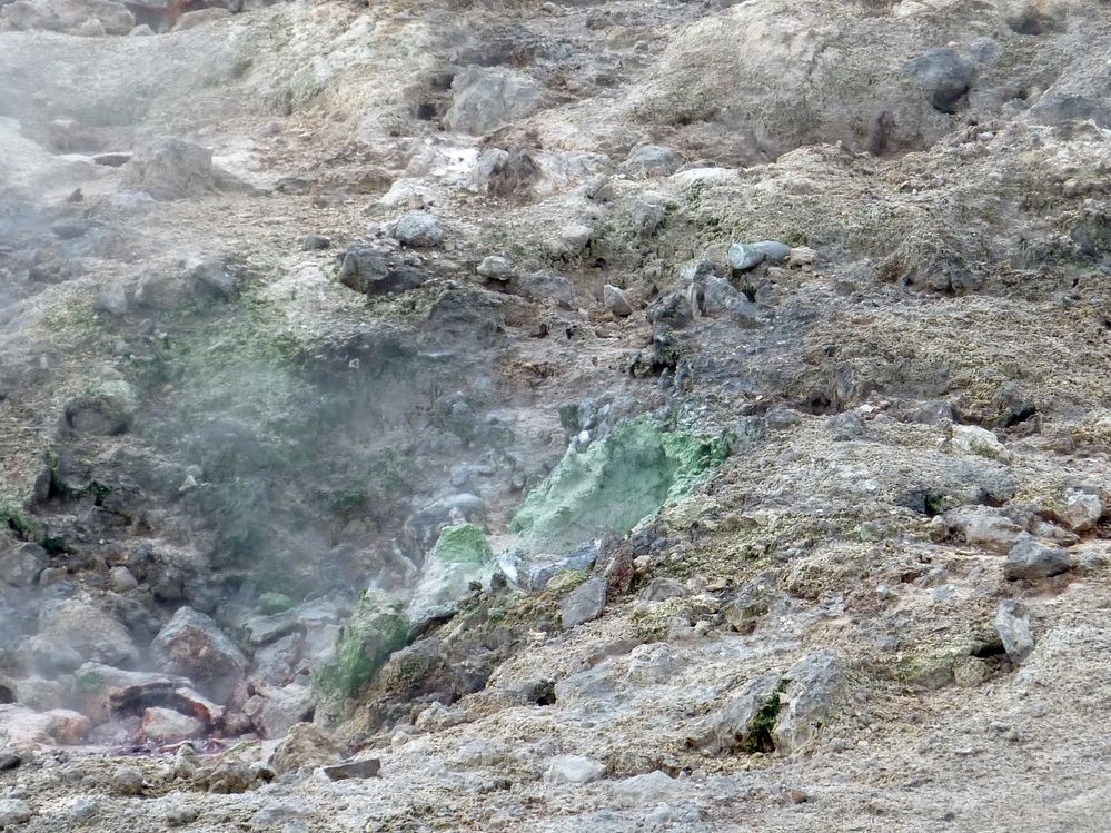 Yellowstone Norris Geyser (137).JPG